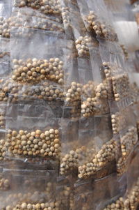 Close-up of crab for sale in market