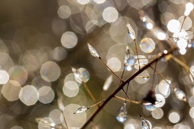 Full frame shot of lights