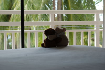 teddy bear