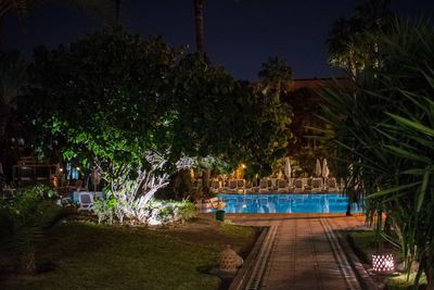 View of swimming pool at night