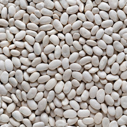 Seamless texture of background of white beans. top view