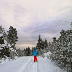 Rear view of girl standing on snow covered land