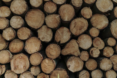 Full frame shot of logs