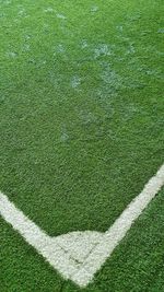 High angle view of soccer field