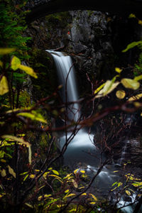 Close-up of waterfall in forest