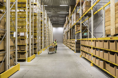 Mid distance view of senior male worker pushing cart on aisle in warehouse