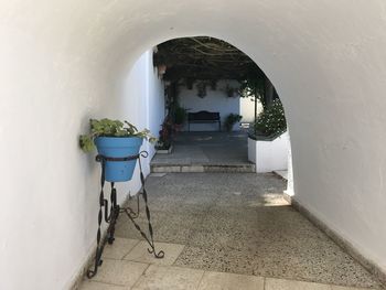 Corridor of building