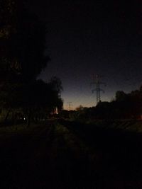 Trees on field at night