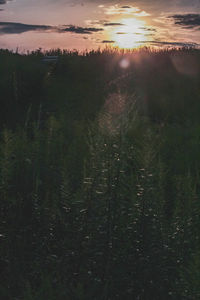 Scenic view of field against sky at sunset