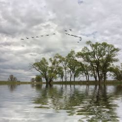 Bird flying over lake against cloudy sky