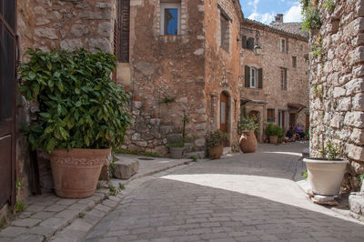 Potted plants on old building