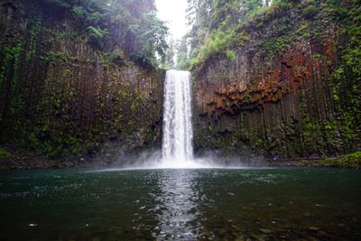 View of waterfall in forest