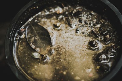 High angle view of meat in bowl