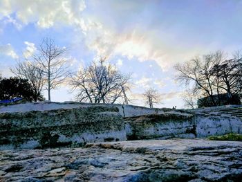 Bare trees on landscape against sky during winter