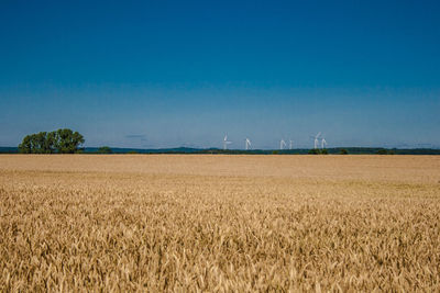 Scenic view of field against clear blue sky