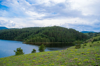 Scenic view of lake by trees against sky