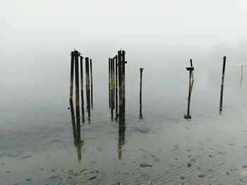 Wooden posts on beach against sky