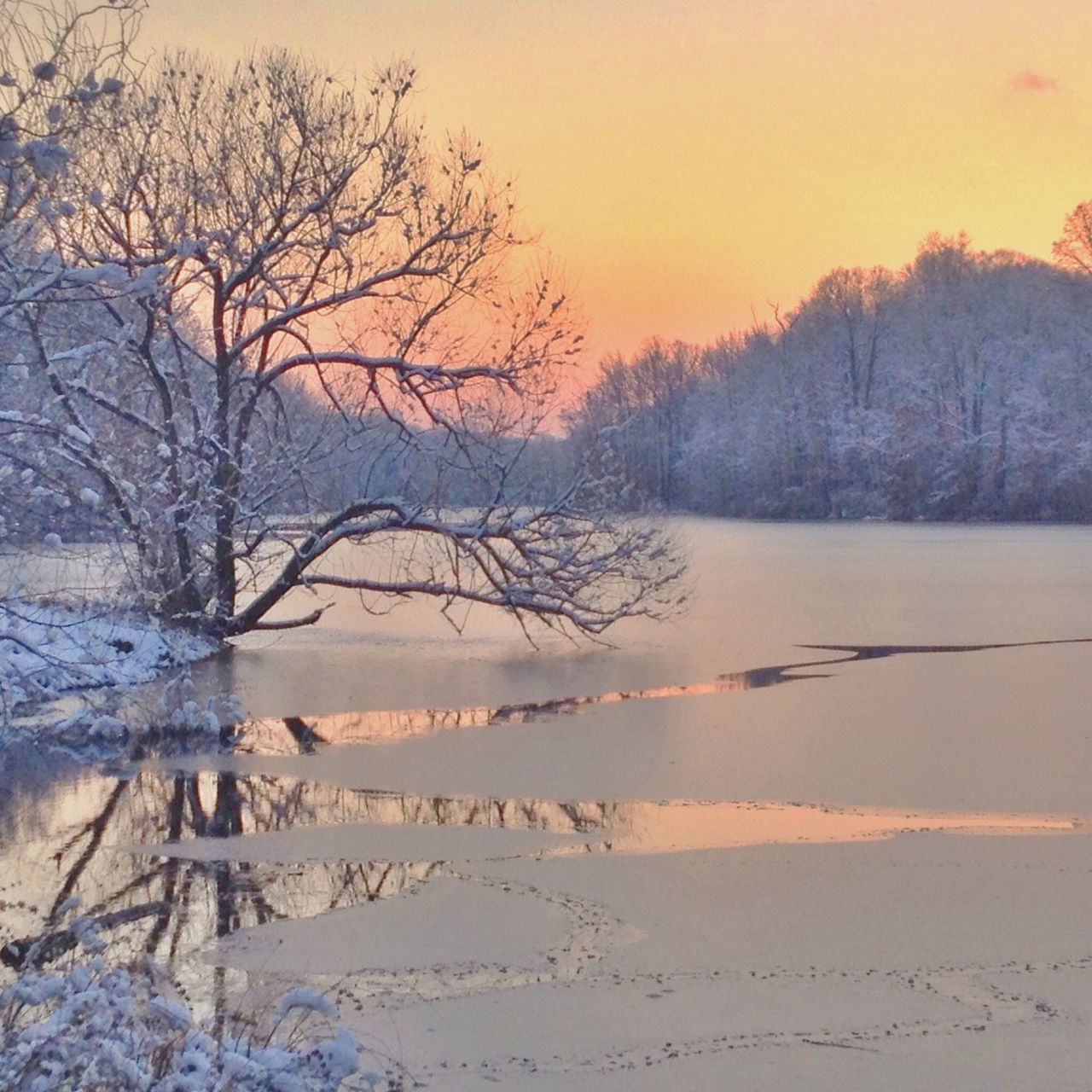 winter, snow, cold temperature, bare tree, sunset, tranquil scene, season, tranquility, scenics, beauty in nature, tree, nature, landscape, branch, weather, orange color, frozen, sky, non-urban scene, covering