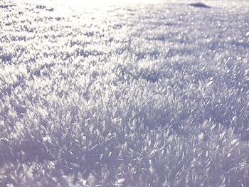 Full frame shot of snow on field
