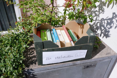 Close-up of potted plant on book