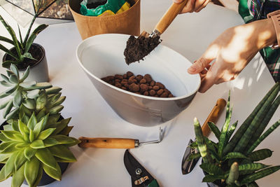 Woman's hands putting soil in the pot for planting succulents. making decorative green composition.