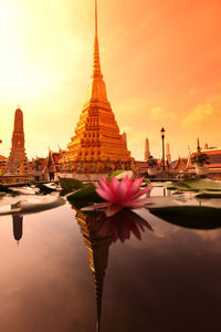 Close-up of lotus blooming in pond against temple during sunset