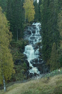 Scenic view of waterfall