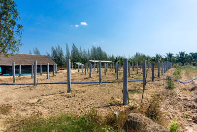 Wooden fence on field against sky