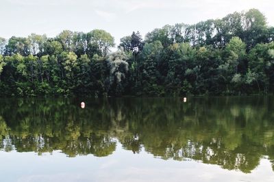 Scenic view of lake by trees against sky