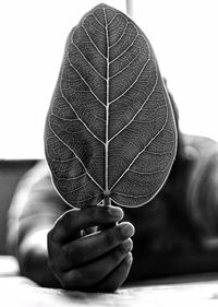 Close-up of hand holding leaf