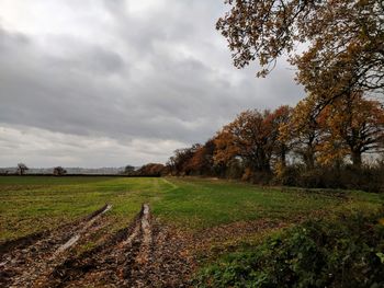 Scenic view of field against sky during autumn