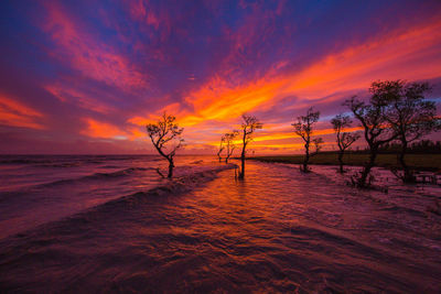 Scenic view of beach against sky during sunset