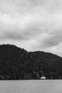 Scenic view of sea by trees against sky