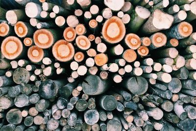 Stack of logs