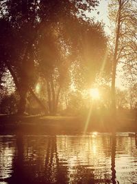 Silhouette trees by lake against sky during sunset