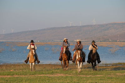 Horses on a field