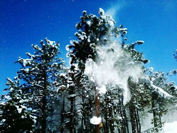 Low angle view of trees against clear blue sky