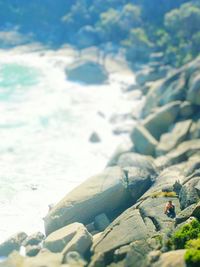 View of tree against sky