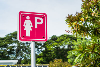 Close-up of road sign against trees