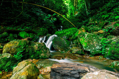 Stream flowing through rocks in forest