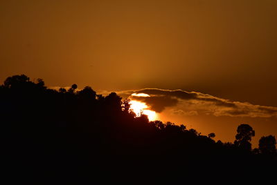 Silhouette trees against sky during sunset