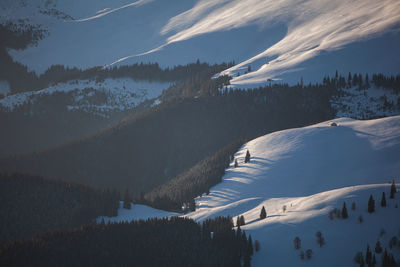 Winter landscape from rodnei mountain. a cold foggy morning with heavy snow.