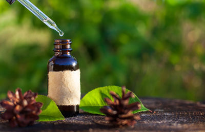 Close-up of glass bottle on table