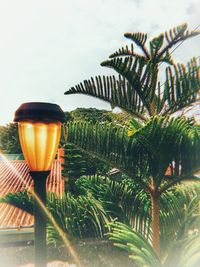 Close-up of drink on table against sky