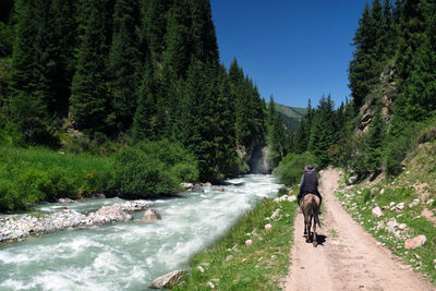 Man on horse amidst trees against clear sky