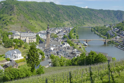 Scenery around cochem, a town at moselle river in rhineland-palatinate, germany, at summer time