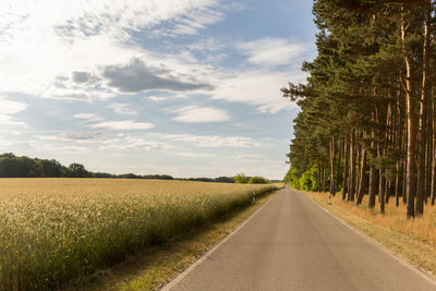 Road passing through field