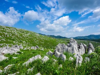 Panoramic view of landscape against sky