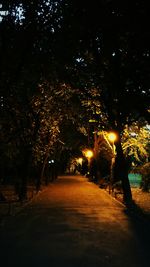 Road passing through trees at night