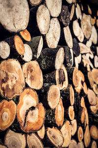 Full frame shot of logs in forest